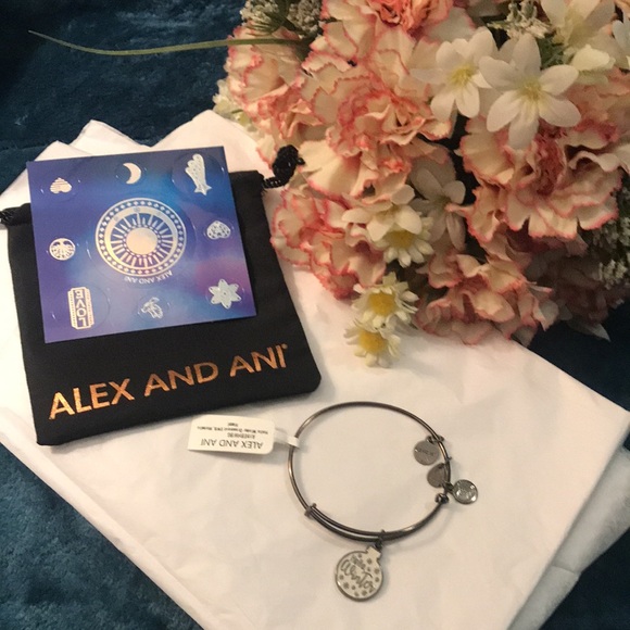 ALEX & ANI Hello Winter Charm Bangle Bracelet NWT. - Picture 4 of 4